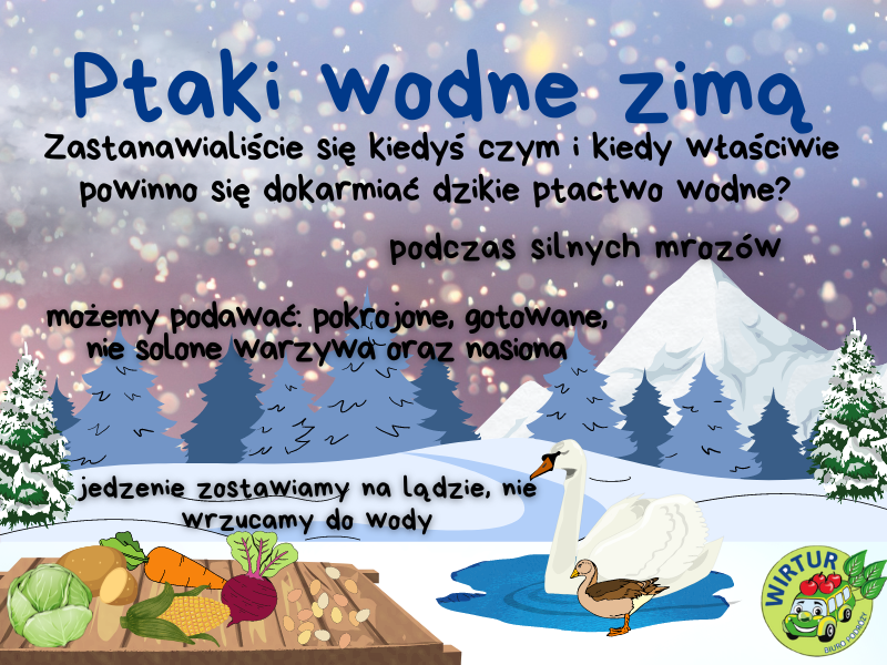 RATUJMY NASZĄ PLANETĘ – Ptaki Wodne Zimą